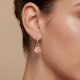 Conch Shell Earrings - Pink Conch