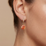 Conch Shell Earrings