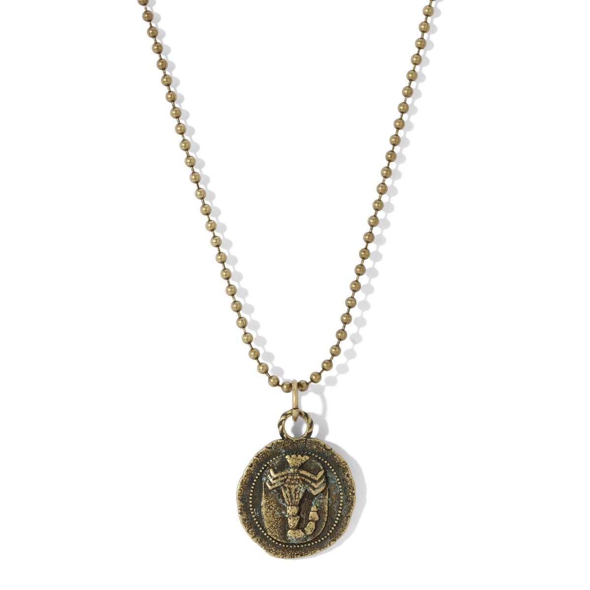 SAMPLE SALE: Scorpion Oxidized Silver Tag Necklace