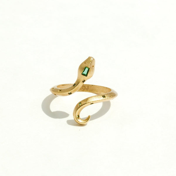 Guardian Ring in Emerald
